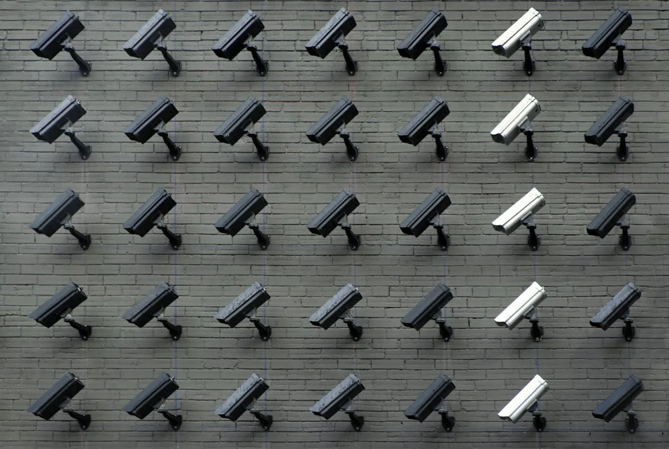 Servicio Acuda y videovigilancia