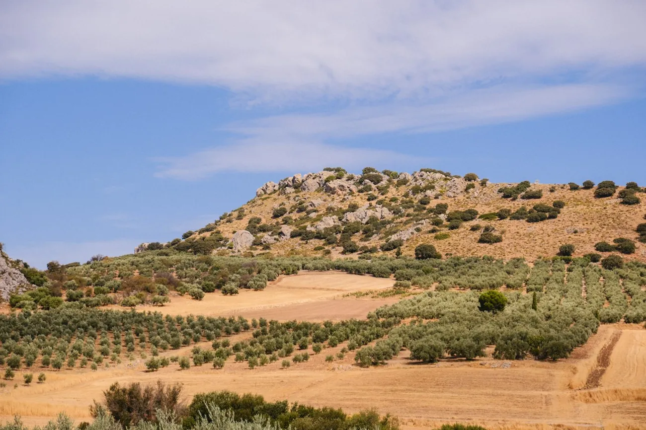 Finca rural